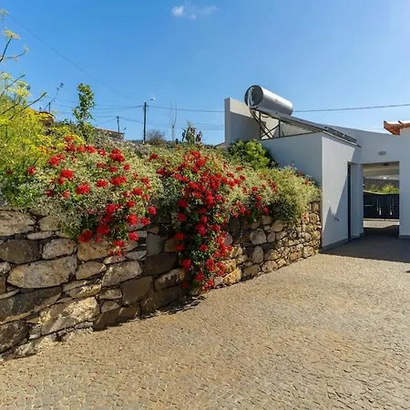 فيلة La Paloga Estreito Da Calheta